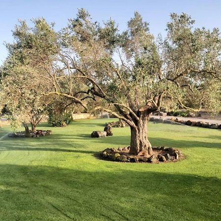 Vila Su Sattisceddu Uras Exteriér fotografie