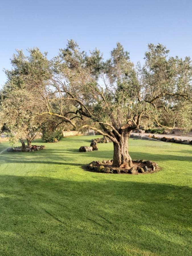 Vila Su Sattisceddu Uras Exteriér fotografie